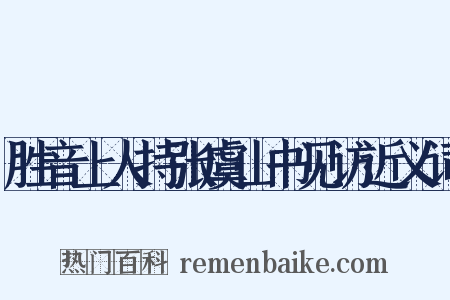 胜音上人持张虞山书见访近义词是什么意思的图片